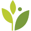 athenahealth logo