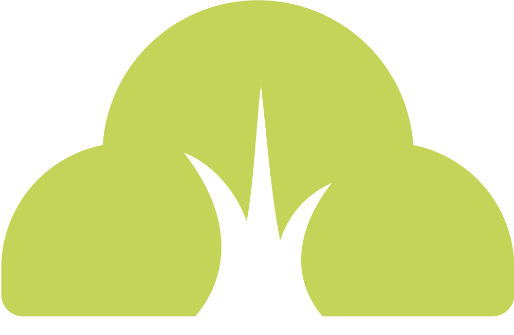 Favicon for donorfy.com