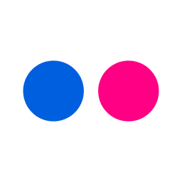 Flickr favicon